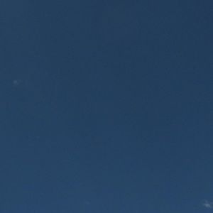 Meet your Posher, @barnswallows